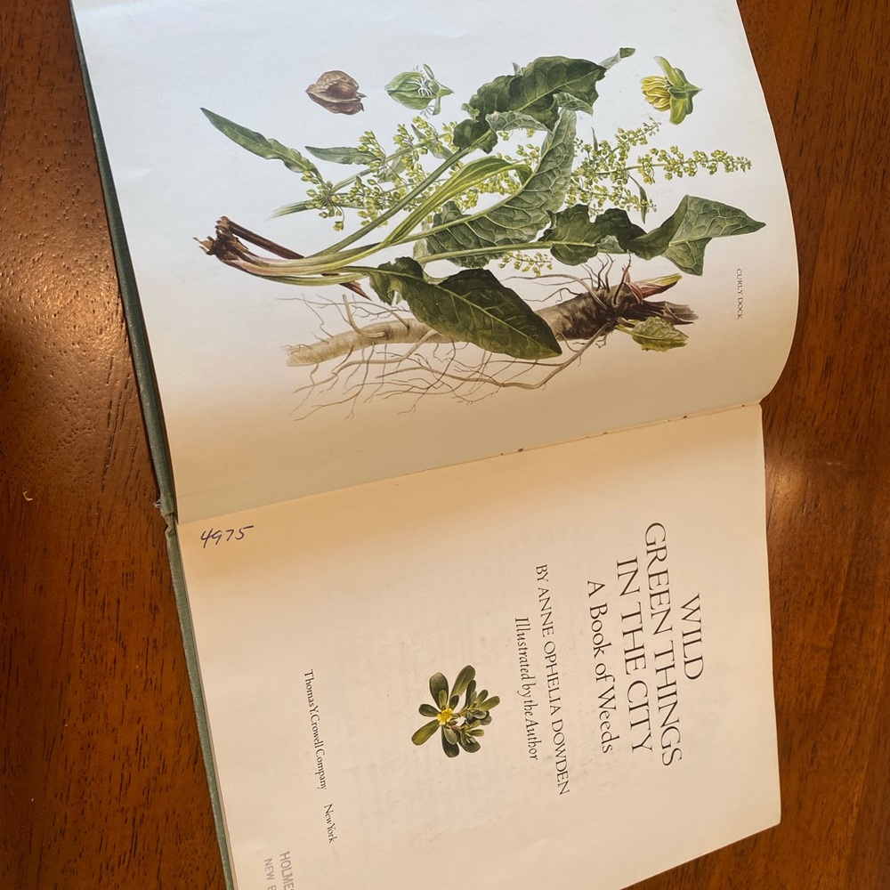 Vintage Wild Green Things In The City Book By Anne Dowden